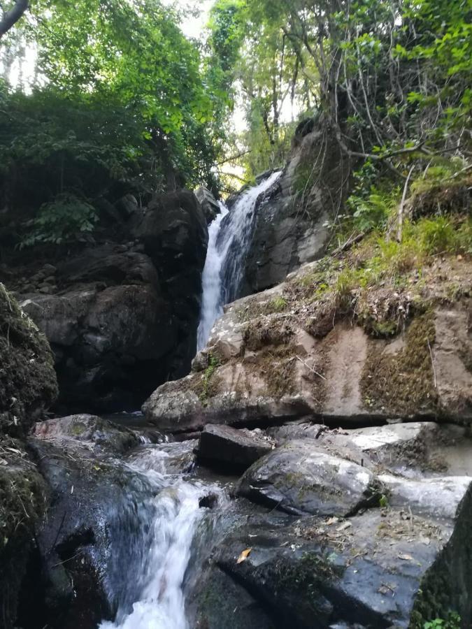 Quinta Da Portelada ペーゾ・ダ・レーグア エクステリア 写真