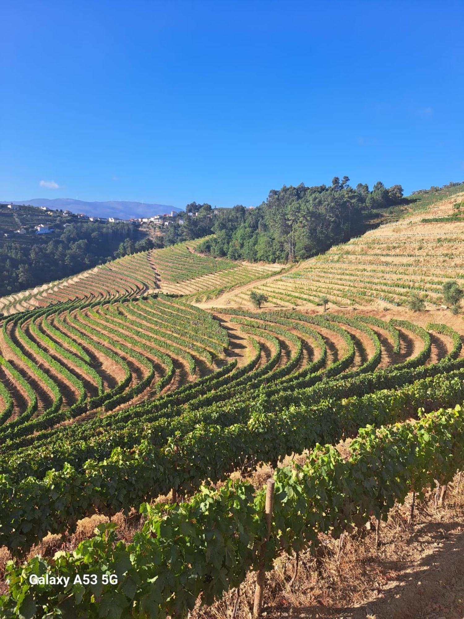 Quinta Da Portelada ペーゾ・ダ・レーグア エクステリア 写真