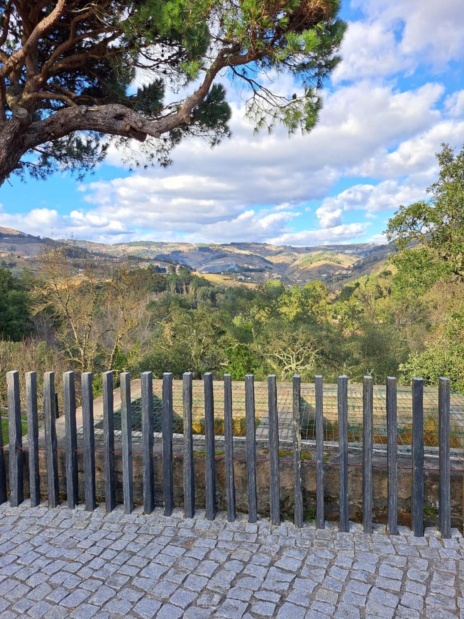 Quinta Da Portelada ペーゾ・ダ・レーグア エクステリア 写真