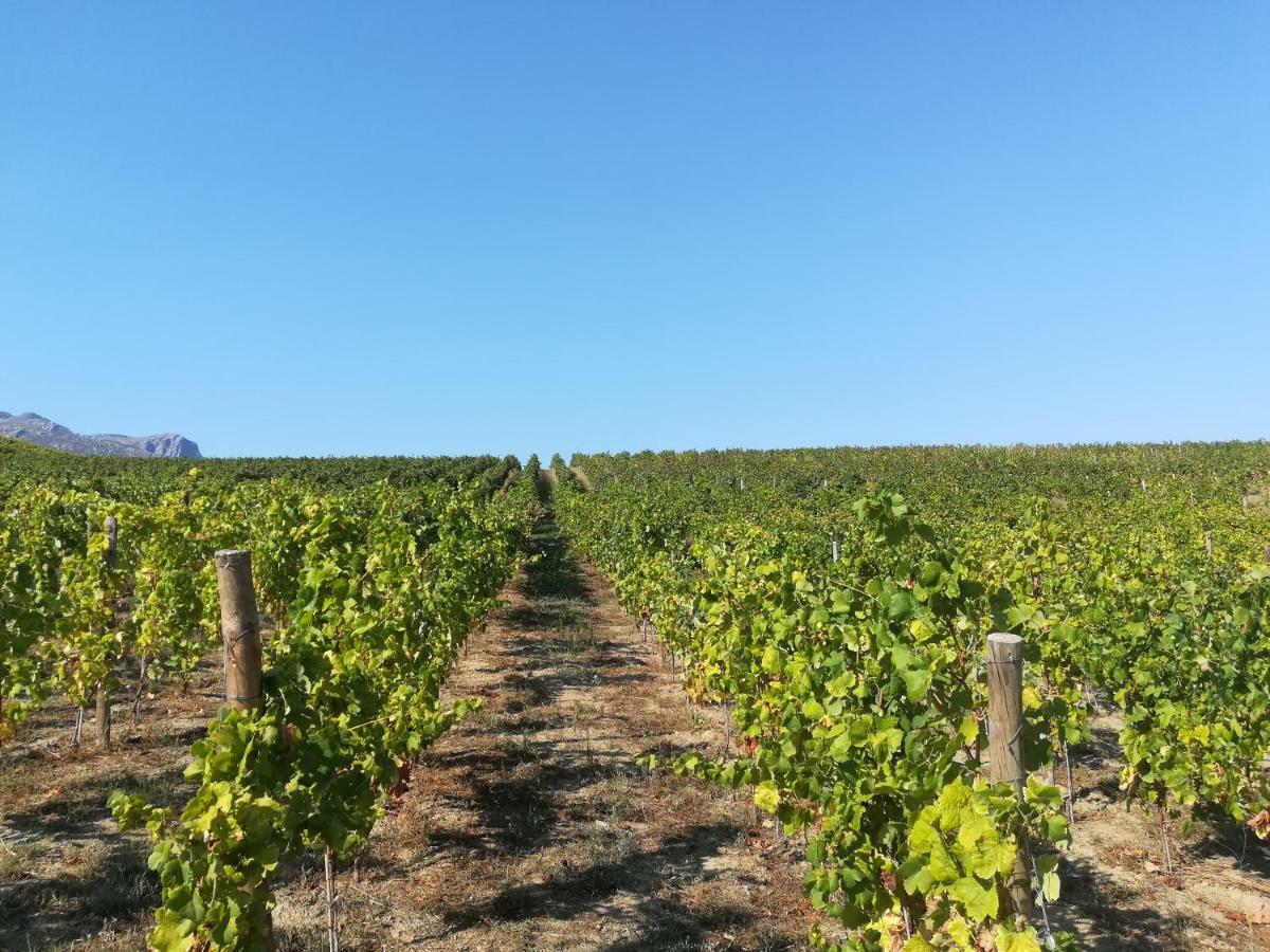 Quinta Da Portelada ペーゾ・ダ・レーグア エクステリア 写真